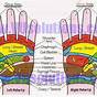 Hand And Feet Reflexology Chart