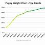 Toy Poodle Growth Chart Kg