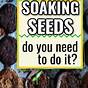 How To Soak Vegetable Seeds