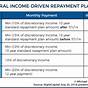 Student Loan Income Based Repayment Chart