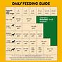 Wet Dog Food Feeding Chart