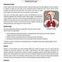 Human Body Systems Worksheets Pdf Answers