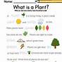 Planting Worksheets For Preschool