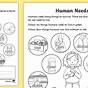Human Needs Kindergarten Worksheet