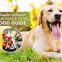 Chart Labrador Dog Food Menu