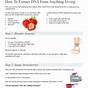 Extracting Dna From Strawberries Worksheet