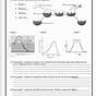 Enzyme Worksheet Biology Answers