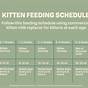 Feeding Chart For Cats