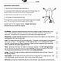 Frog Dissection Lab Worksheet