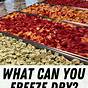 Freeze Dryer Time Chart