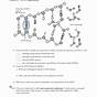 The Structure Of Dna Worksheet Answers