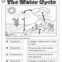 Water Cycle Worksheet With Answers