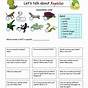 Kindergarten Reptile Worksheet