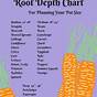 Vegetable Plant Root Depth Chart