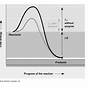 How To Read A Enzyme Graph