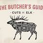 Elk Meat Diagram
