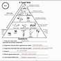 Food Chains Food Webs And Energy Pyramid Worksheet