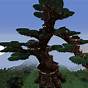 How To Make A Giant Tree In Minecraft