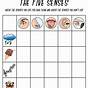 Five Sense Worksheet Kindergarten
