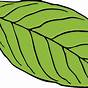 Jungle Leaf Cutout