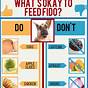 Foods Dogs Can Eat Chart