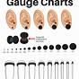 Ear Plug Gauge Chart