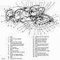 2001 Lincoln Town Car Fuel Pump Wiring Diagram