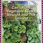 How Much Fertilizer For Vegetable Garden