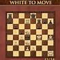 Play Chess Puzzles Online