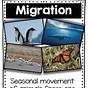 Hibernation Vs Migration