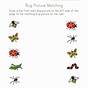 Insect Or Not Worksheet