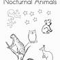 Nocturnal Animals Coloring Pages Printable