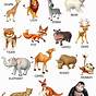 Zoo Animals Chart