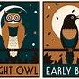 Night Owl 8.0 Manual