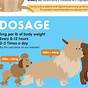 Gabapentin Dosage Chart For Dogs