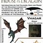 House Of Dragons Size Chart