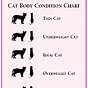 Funny Cat Weight Chart