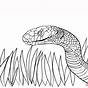 Snake Printable Coloring Pages
