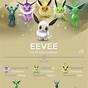 Pokemon Go Eevee Evolution Chart