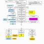 Flow Chart Simple Pathophysiology Of Pneumonia