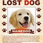 Free Printable Lost Dog Flyers