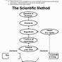 Scientific Method Worksheet 7th Grade