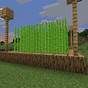 Sugar Cane Farm Minecraft 1.19