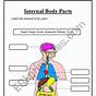 Internal Body Parts For Kids