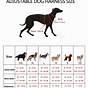 Coastal Dog Harness Size Chart