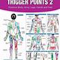 Trigger Point Chart Pdf