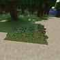 How To Get Cacti In Minecraft
