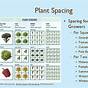 Vegetable Spacing Chart Pdf