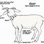 Goat By-products Diagram