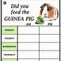 Feeding Chart For Pigs